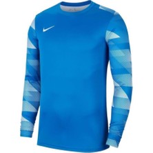 Nike CJ6066 Drı Fıt Park 4 Goalkeeper Jby Mavi