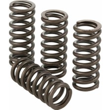 Polini Valve Subap Yayları 4 Adet Vespa Gts 300 228.0132