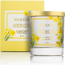 Nurxos Nergis Kokulu Mum 220 Gr – Meyveli Odunsu Soya Mumu - 9653