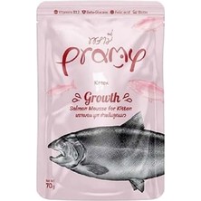 Kazan Hobi Yavru Kediler Için Somonlu Mousse, 70 Gram Tekli Paket