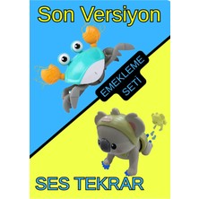 Boratila Toys Emeklemeye Yardımcı Yengeç ve Koala - Emekleme Seti