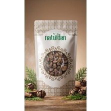 Naturdan Selvi Kozalağı Tohumu 5000G