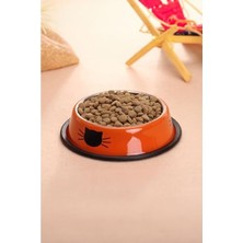 Frefly Store 180 ml Paslanmaz Çelik Kedi ve Köpek Su Kabı, Kaymaz Taban