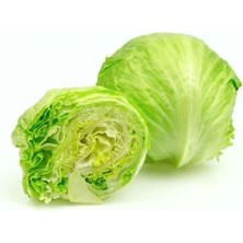 Frefly Store Marul Iceberg Çoklu Tohum, 3 Gram