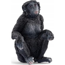 Frefly Store Doğayı Keşfet: Bonobo Figürü