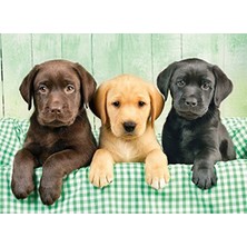 Frefly Store Clementoni - 1000 Parça Hq Collection Yetişkin Puzzle - Three Labs