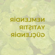 Frefly Store Cilt Bariyerini Güçlendiren Yoğun Nemlendirici Cica Jel Krem - 40 ml