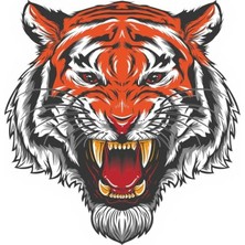 Frefly Store Renkli Sticker, 12 x 12 cm Boyutunda, Yaratıcı Tasarım