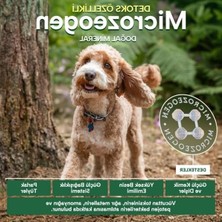 Frefly Store 7,5 kg Küçük Irk Somonlu Yetişkin Köpek Maması