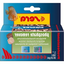 Frefly Store Hakiki Deri Antik Tokalı Köpek Tasması, Yumuşak ve Dayanıklı