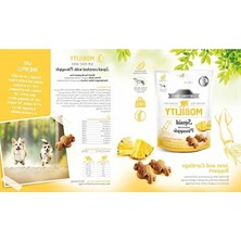 Frefly Store Eklem ve Kıkırdak Sağlığını Destekleyen Kalamar ve Ananaslı Köpek Ödülü, 150 G