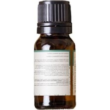 Frefly Store Uçucu Niaouli Yağı 10 ml
