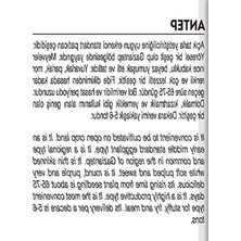 Frefly Store 100 Adet Yerli Antep Patlıcanı Tohumu, Verimli Seçim