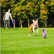 Frefly Store Köpek Eğitim Halkası - 2 Adet Set