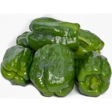 Frefly Store Antep Acı Dolmalık Biber Tohumu - 5 Gram