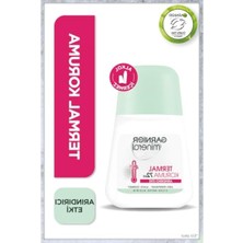 Frefly Store Kadınlar Için Termal Koruma Roll-On Deodorant