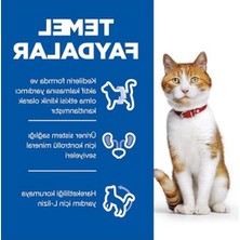 Frefly Store Kısırlaştırılmış Yetişkin Ördekli Kedi Maması 8+2 kg
