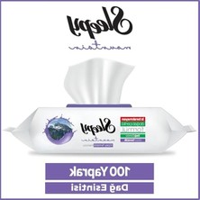 Frefly Store Yüzey Temizlik Havlusu, Dağ Esintisi Kokulu, 100 Yapraklı Paket
