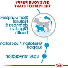 Frefly Store Mini Starter Anne ve Yavru Köpek Maması, 1 kg