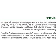 Frefly Store Yerli Dolma Biber Tohumu, 100 Adet