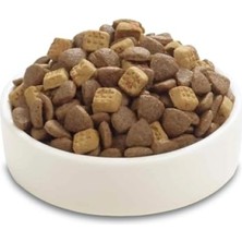 Frefly Store Tahılsız Tavuklu Yavru Kedi Maması, 1.5 kg