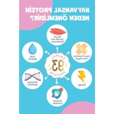 Frefly Store Yavru Kediler Için Hipoalerjenik Tavuklu Süper Premium Kedi Maması, 9 kg