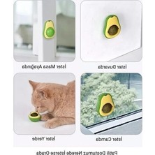 Frefly Store Kedi Nanesi Oyun Topu, Avakado Şeklinde Eğlenceli Oyuncağı