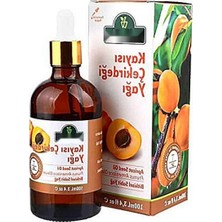 Frefly Store Doğal Kayısı Çekirdeği Yağı - 100 ml