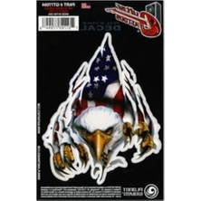 Frefly Store Gitar Için Rıp N Tear Sticker, Şık Tasarım