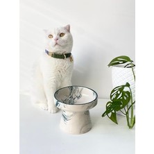 Frefly Store Yeşil Çizgili Seramik Su Kabı, Kedi ve Köpekler Için Tasarım