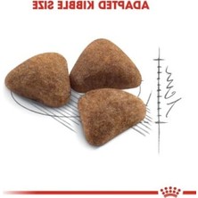 Frefly Store 2 kg Sindirim Destekleyici Kedi Maması