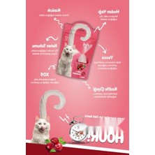 Frefly Store Sakinleşmeyi Destekleyici Kedi Ödül Maması - 60G 3'lü Paket