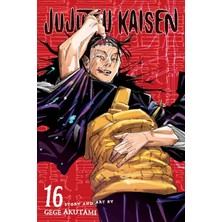 1001 Jujutsu Kaisen, Vol. 16 (Volume 16)