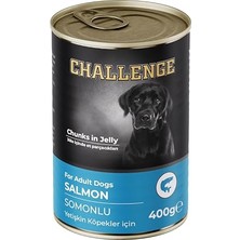Frefly Store Konserve Köpek Somonlu Yetişkin 400 gr