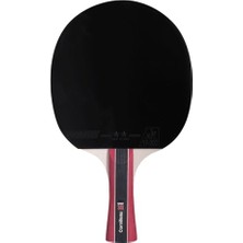 Frefly Store Cornilleau Sport 300 Ittf Onaylı Masa Tenisi Raketi