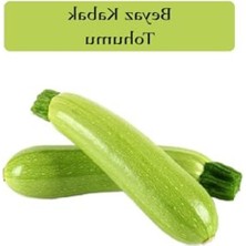 Frefly Store Sakız Kabak Tohumu, 10 gr Paket, Verimli Yetiştirme Için