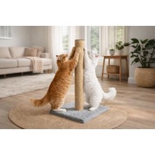 Frefly Store 50 cm Kedi Tırmalama Tahtası, Stabil Tabanlı ve Dayanıklı
