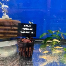 Atılım Akvaryum Akvaryum Balık Tutmak Yasaktır Levhası