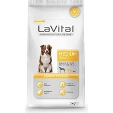 Frefly Store Medium Adult Salmon Formula