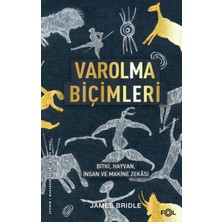 Lisinya Varolma Biçimleri –bitki, Hayvan, Insan ve Makine Zekâsı