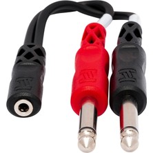 1001 3.5 Mm. Trs (F) - Dual 1/4 Inç Ts (M) Stereo Breakout Kablo (YMP-434)