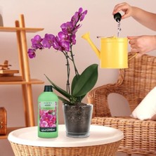Frefly Store 500 ml Orkideler Için Sıvı Bitki Besini, Etkili Formül
