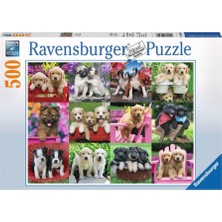 1001 500 Parça Puzzle Köpek Yavruları