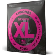 1001 ECB81 Bas Gitar Tel Seti, Chromes, Regular Lıght Gauge (