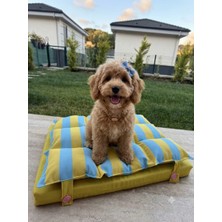 Çift Katmanlı Ergonomik Yıkanabilir Kedi & Köpek Yatağı