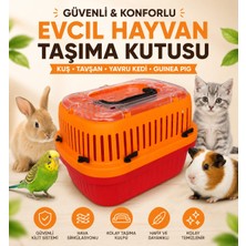 Medusa Kuş, Hamster, Ginepig, Tavşan ve Yavru Kedi Taşıma Kutusu