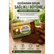 Ecuy Organik Coco Peat Hindistan Cevizi Lifi Doğal Toprak Düzenleyici Tohum Fide Saksı Bahçe 560 Gram