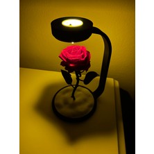 Moon Lamp MOONLAMP Gül Lambası Kırmızı Plastik Malzemeden Modern Tasarım ile Estetik Aydınlatma