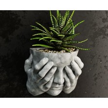 Zarif Kadın Figürlü Duvar Saksısı - Minimalist Dekoratif Sukulent ve Çiçeklik, Modern Duvar D