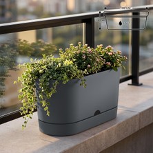 Begonya Balkon Saksı Dekoratif Tabaklı Izgarasız Mat Plastik Saksı (1 Adet, Antrasit)